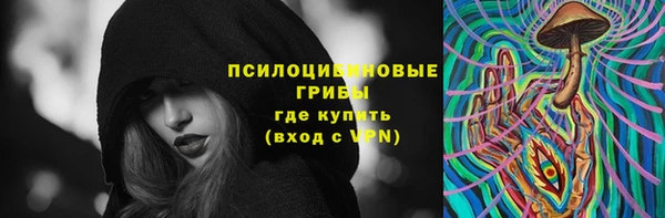 герыч Вязьма