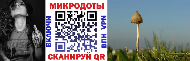 Купить где Котовск Галлюциногенные грибы мухоморы